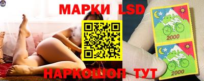 шишки Братск
