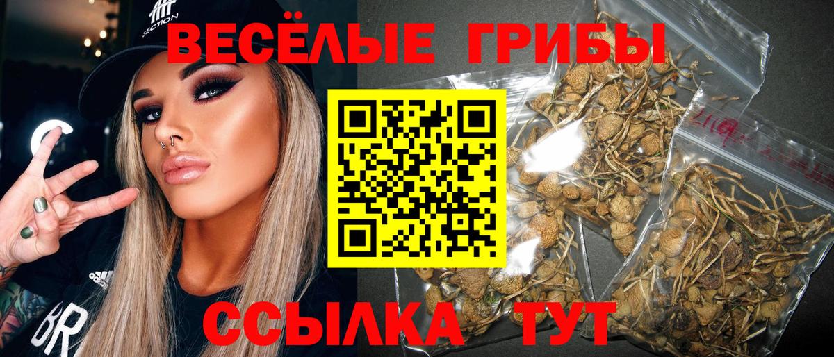 Псилоцибиновые грибы прущие грибы Стрежевой
